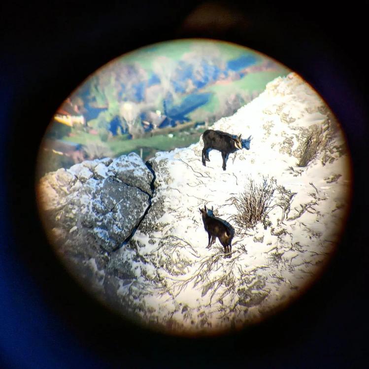 WhatsApp Image 2023-01-14 at 10.05.09