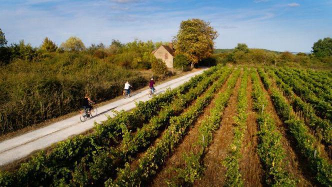 B9735646770Z.1_20231214192538_000+GBLNVGHR4.1-0