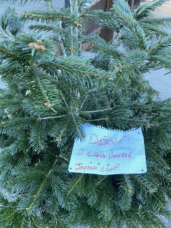 413953560_6909461755814245_4767253309840300339_n (1)