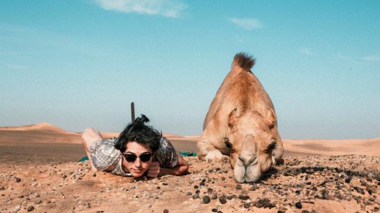 Op hol geslagen kameel verwondt zeven mensen