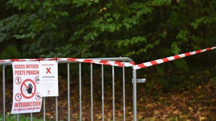 Scherpschutters zullen wilde everzwijnen in Luxemburg afmaken