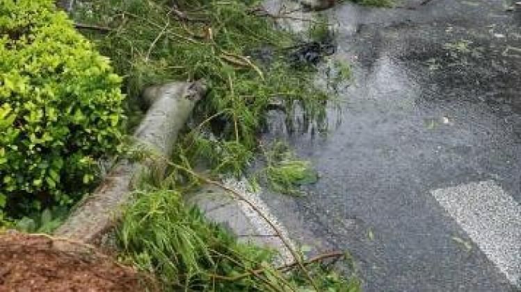 Balans na doortocht taifoen Trami in Japan loopt op tot 45 gewonden