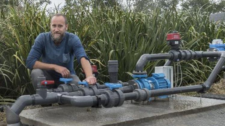 Belgische viskweker pioniert met water van tomatenplantage