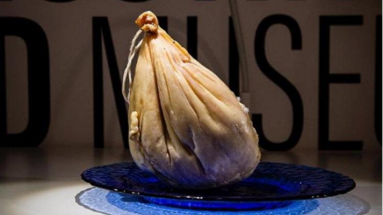 Disgusting Food Museum' opent in Zweden