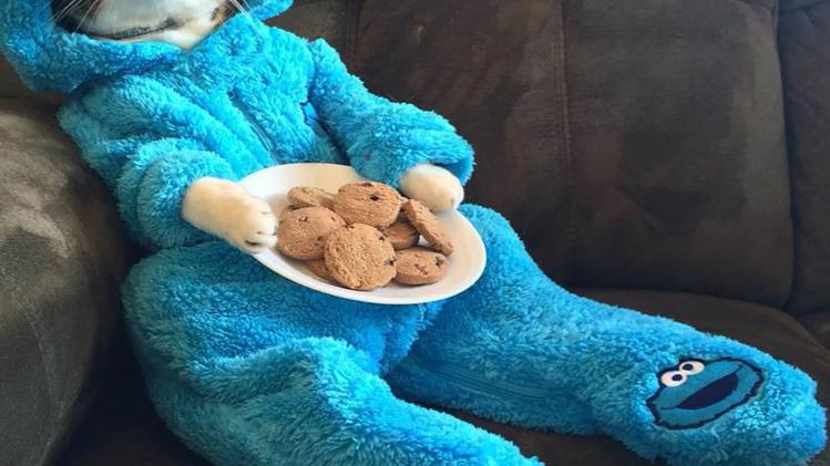 Amerikaanse ambassade stuurt uitnodiging voor 'Cookie Monster' uit