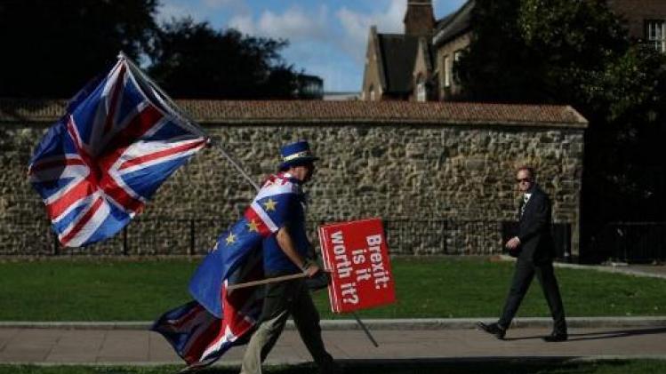 Tienduizenden EU-aanhangers betogen in Londen voor nieuw referendum over brexit