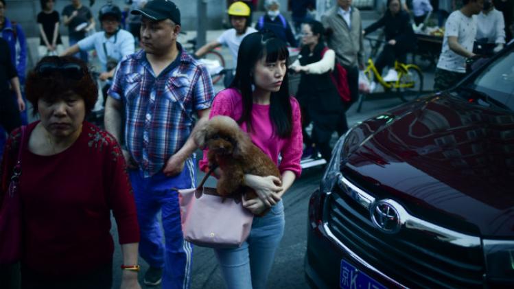 In deze Chinese stad is het verboden om je viervoeter uit te laten