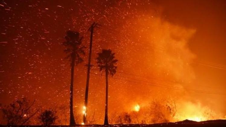 Bosbranden Californië - Al negen dodelijke slachtoffers