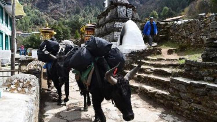 Drie buitenlandse trekkers in de buurt van basiskamp op de Mount Everest overleden