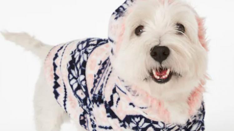 Hond in onesie