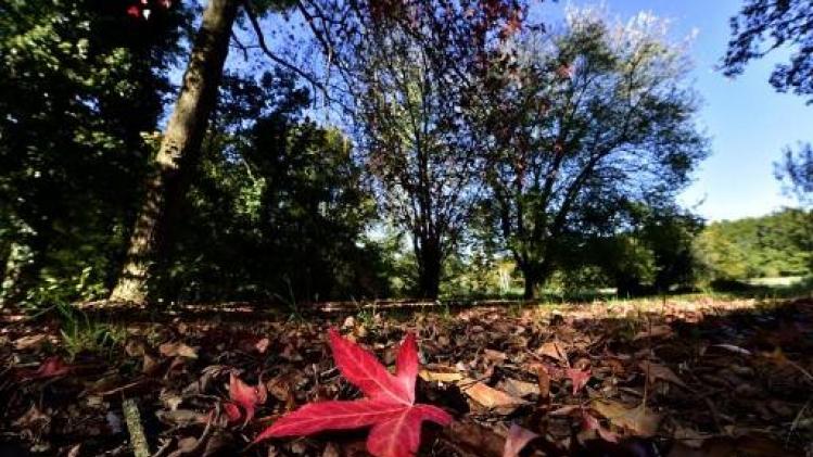 Weerbericht: zonnig en droog weekend op komst