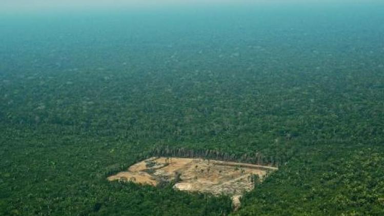 Ontbossing Amazonewoud in Brazilië op hoogste niveau in tien jaar