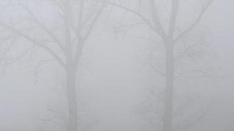 Weerbericht - KMI waarschuwt voor mist