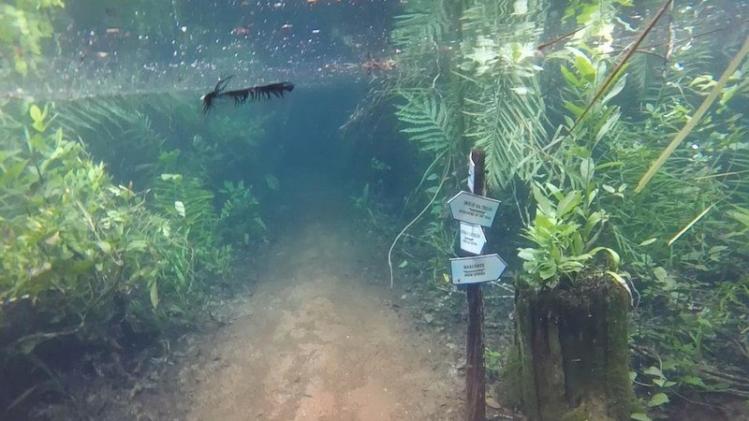 VIDEO. Wandelpad helemaal onder water door zeldzaam fenomeen