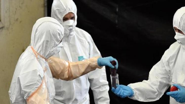 Afrikaanse varkenpest: opnieuw twee everzwijnen positief