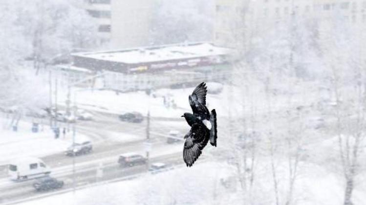Recordhoeveelheid sneeuw in Moskou