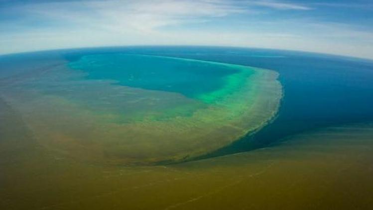 Nieuw onheil voor Great Barrier Reef: modderwater vloeit in koraalrif