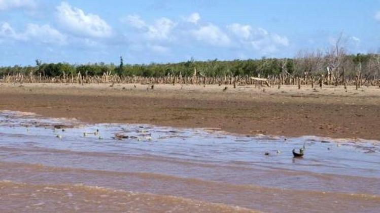 Meer dan 900 doden door mazelenepidemie in Madagaskar