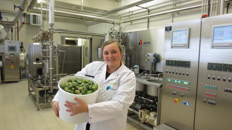 ILVO spruitjes_Sofie De Man_2