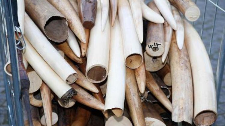 Senaat pleit voor totaalverbod op ivoorhandel