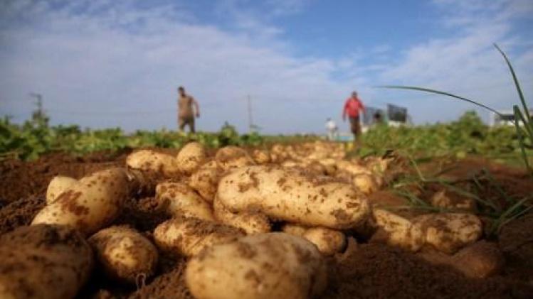 Geen Europees verbod op chloorprofam