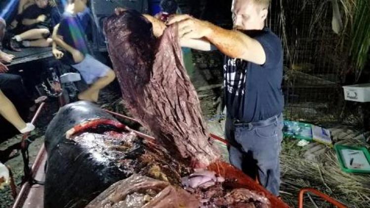 Veertig kilogram plastic gevonden in dode walvis in de Filipijnen