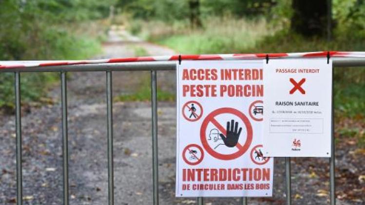 Groothertogdom Luxemburg bouwt hek aan Belgische grens tegen Afrikaanse varkenspest
