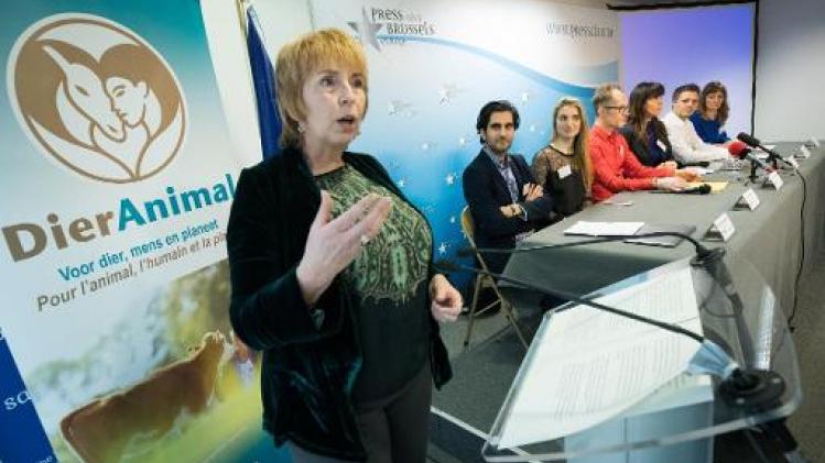 Dierenpartij DierAnimal neemt in Vlaams-Brabant deel aan Vlaamse verkiezingen