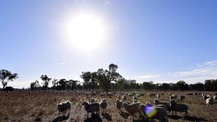 Australië meet warmterecord voor vierde maand op rij