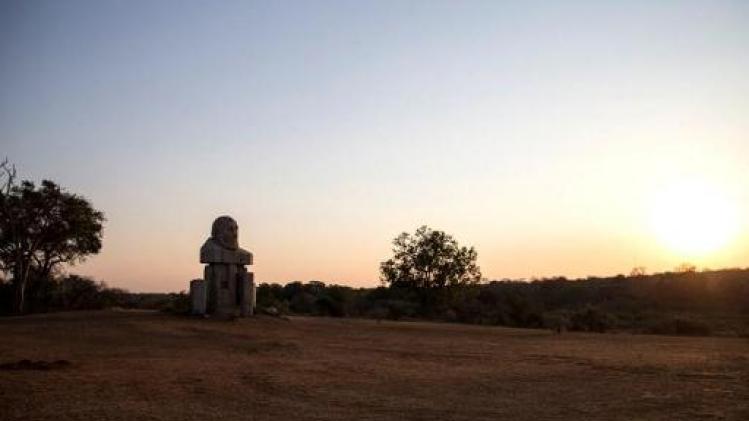Stroper in Zuid-Afrika vermoedelijk verpletterd door olifant en opgegeten door leeuwen