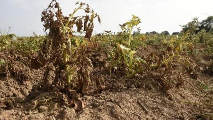Waterstand nog niet kritiek