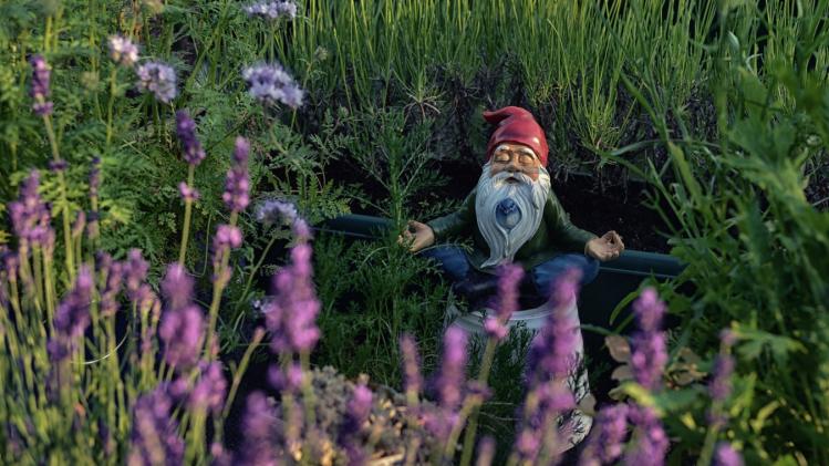 Dame op leeftijd steelt tuinkabouters en bloempotten voor in haar tuin
