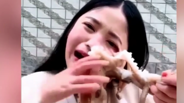 VIDEO. Vlogster wilt levende octopus eten, maar krijgt lik op stuk