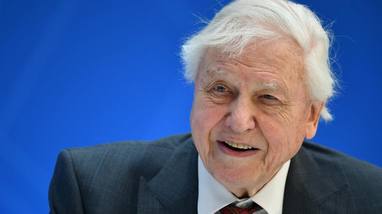 Sir David Attenborough (93) wil een clubhit lanceren