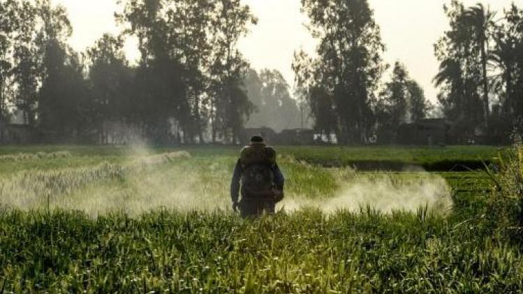 Europese Commissie buigt voor pesticidelobby