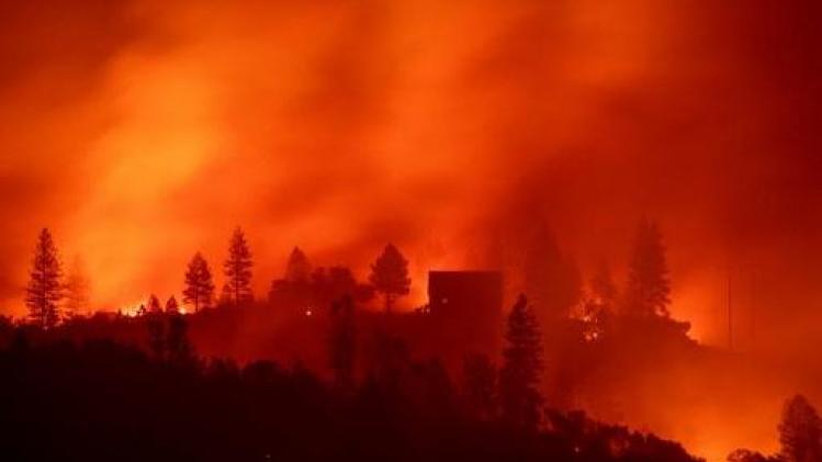Defecte stroomkabels verantwoordelijk voor zware bosbrand in Californië