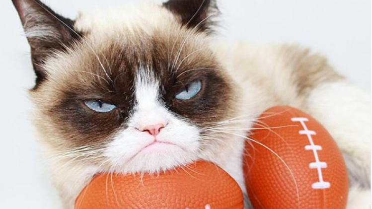 Zwarte dag voor het internet: Grumpy Cat overleden