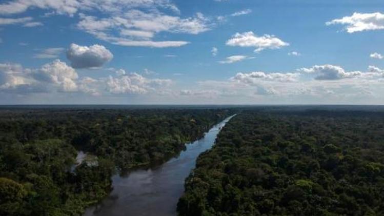 Vaticaan zet deur op kier voor mogelijke priesterwijdingen van gehuwde mannen in Amazone