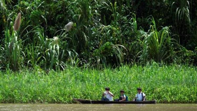 Effect van ontbossing op klimaatverandering groter dan gedacht