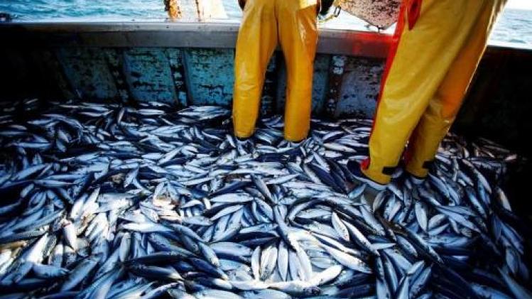 Europese vis is opgebruikt voor dit jaar