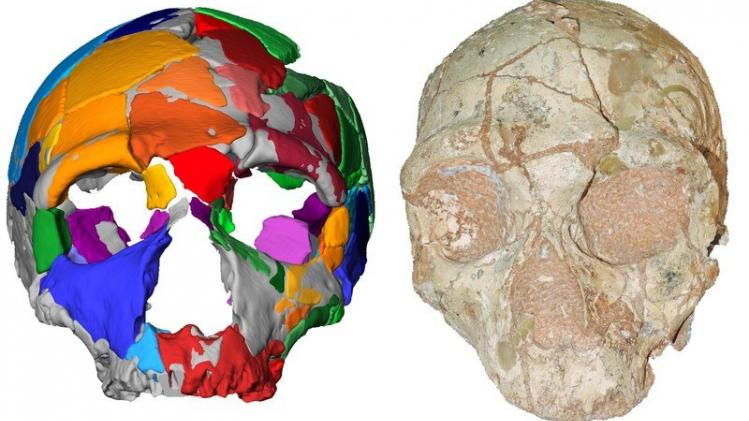 Oudste resten van moderne mens buiten Afrika ontdekt