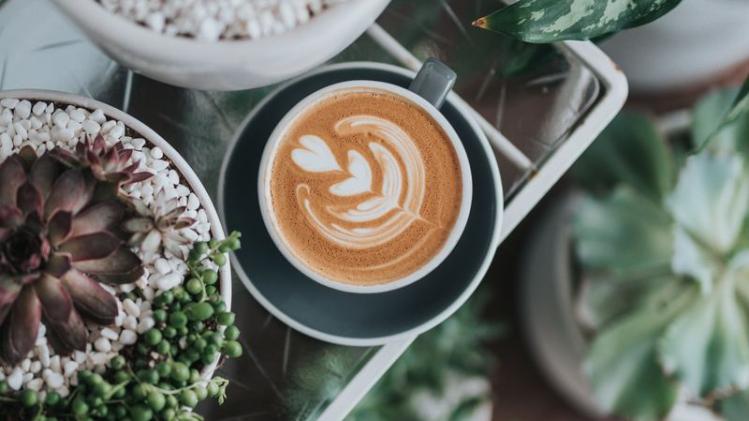 Waarom je je planten plezier doet met een kopje koffie