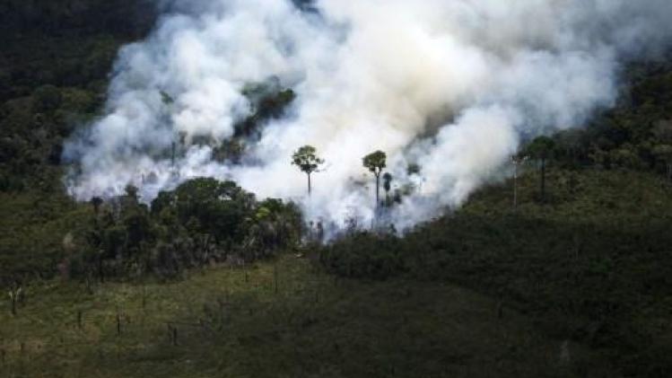 Bosbranden Amazonegebied - Beweging Greta Thunberg roept op om vrijdag te manifesteren aan Braziliaanse ambassades