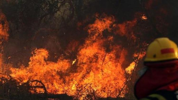 Bosbranden Amazonegebied acute noodsituatie waarover moet gesproken worden op G7