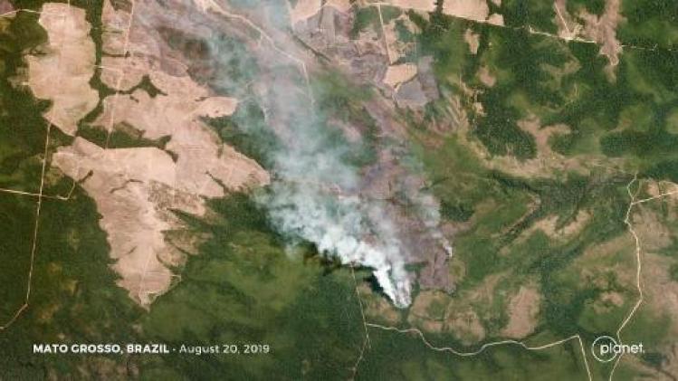 Europese Commissie ziet Mercosurakkoord als beste hefboom tegen bosbranden Amazonegebied