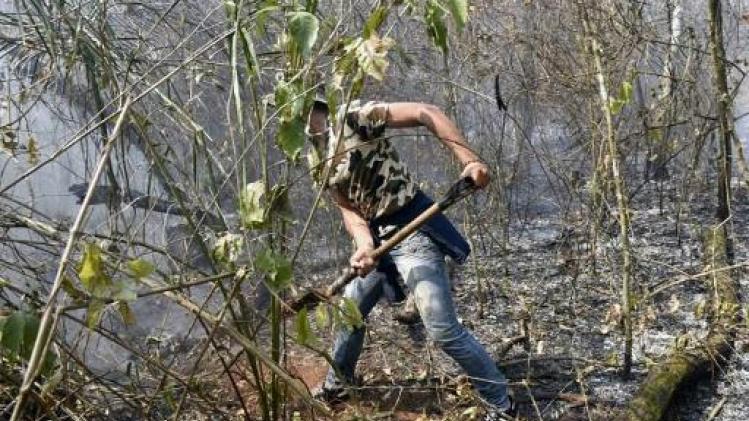 Bosbranden in Bolivia legden al bijna miljoen hectare in de as