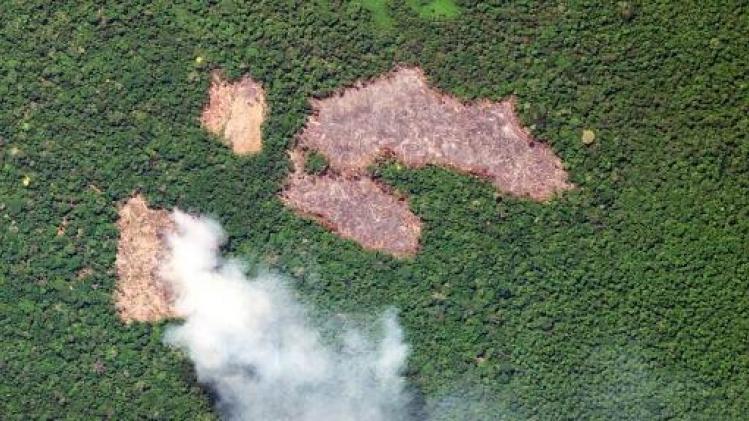 Bolsonaro verbiedt kappen en verbranden Amazonegebied ten behoeve van de landbouw