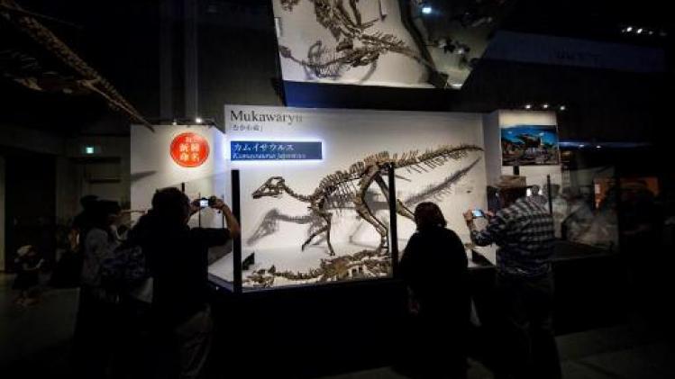 Nieuwe dinosaurussoort ontdekt in Japan