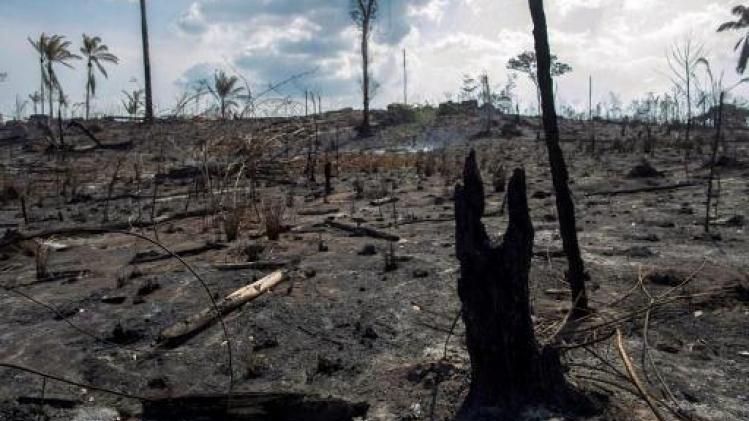 Amazonelanden vergaderen over strategie voor behoud regenwoud