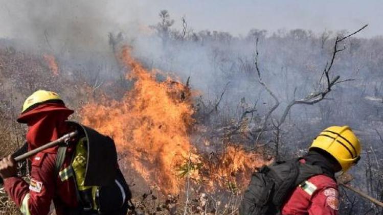België strijdt mee tegen bosbranden in Amazonegebied